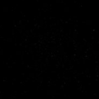 black carpet lining