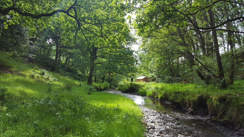 This peaceful campsite was perfect for solo campervanning