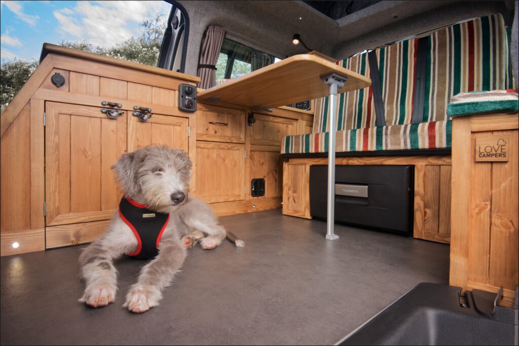 Dog sat in a Sunbox Campers van